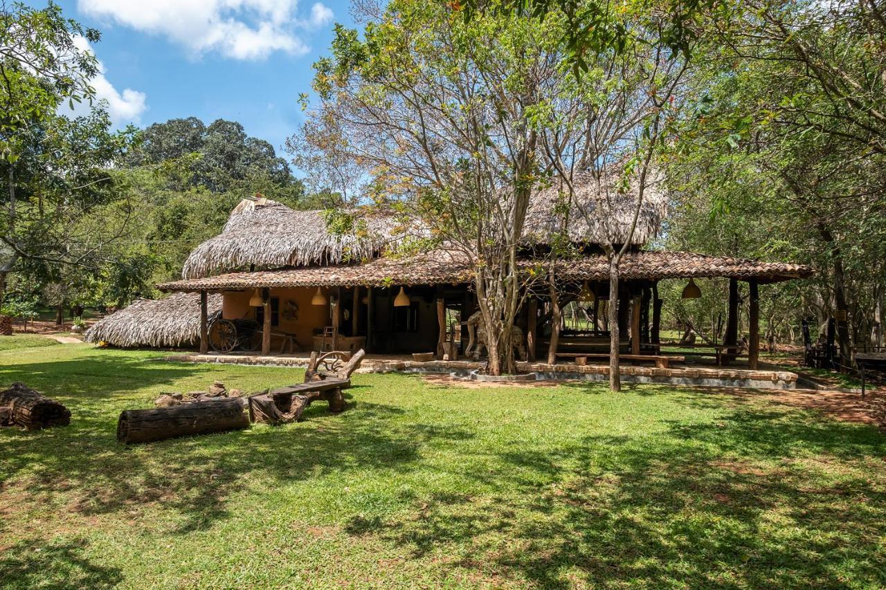 Villa Banyan Camp Hambegamuwa Exterior foto